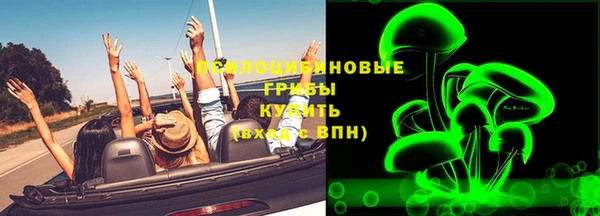 прущие грибы Арсеньев