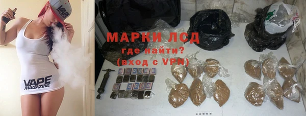 прущие грибы Арсеньев