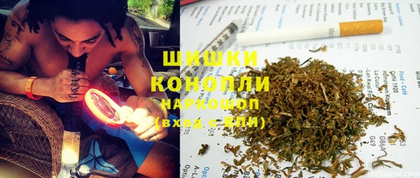 винт Аркадак
