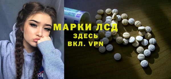прущие грибы Арсеньев