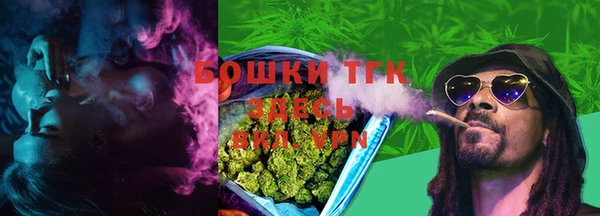 прущие грибы Арсеньев